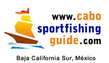 Cabo San Lucas Sportfishing