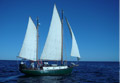 Cabo San Lucas Sailing
